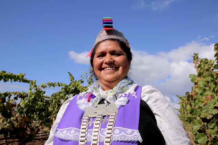 Mujer Mapuche - Proyecto Buchaueico - Producción uvas Pinot Noir -- Viña San Pedro